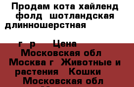 Продам кота хайленд фолд (шотландская длинношерстная) 01.05.2015 г. р.  › Цена ­ 9 500 - Московская обл., Москва г. Животные и растения » Кошки   . Московская обл.,Москва г.